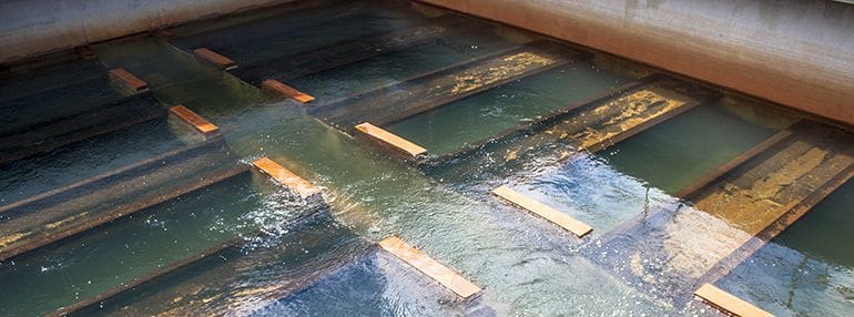 water-filtration-media-maintenance__large